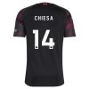 Liverpool Chiesa 14 Tredje 2026-27 - Herre Fotballdrakt Liverpool Chiesa 14 Tredje 2026-27 - Herre Fotballdrakt